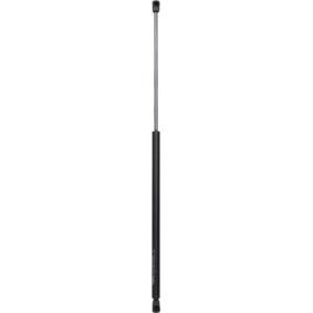 Heckklappendämpfer 9168580