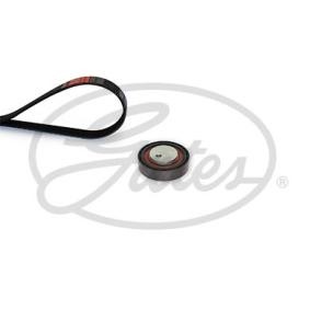 Acquista Kit Cinghie Poly-V da GATES K014PK985 a buon mercato per soli 68,46 €