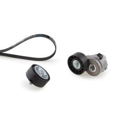 Acquista Kit Cinghie Poly-V da GATES K017PK1325 a buon mercato per soli 88,33 €
