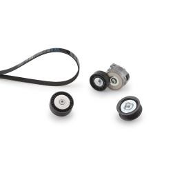 Acquista Kit Cinghie Poly-V da GATES K026PK1395 a buon mercato per soli 108,47 €
