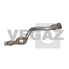 Katalysator von VEGAZ