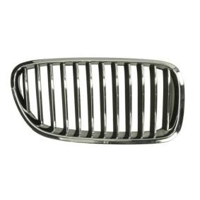 Kühlergrill 6502-07-0067994P