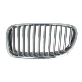 Kühlergrill 6502-07-0067995P