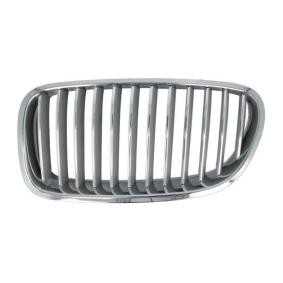 Kühlergrill 6502-07-0067996P