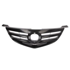Kühlergrill 6502-07-3476993P