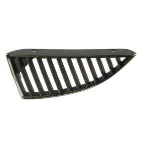 Kühlergrill 6502-07-3719993P