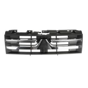Kühlergrill 6502-07-3733990P