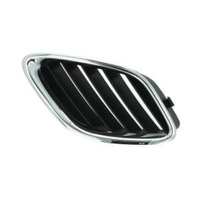 Kühlergrill 6502-07-6522993P