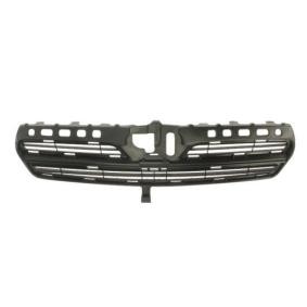 Kühlergrill 6502-07-8116994P