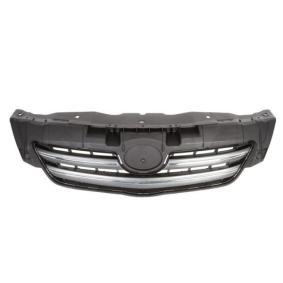 Kühlergrill 6502-07-8116995P