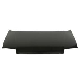 Motorhaube 6803-00-3126281P