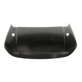 Motorhaube 6803-00-6456280P