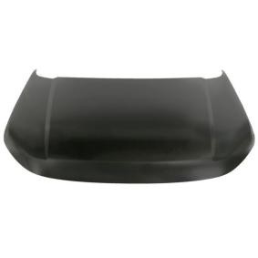 Motorhaube 6803-00-6456282P