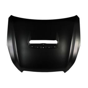 Motorhaube 6803-00-6715281P