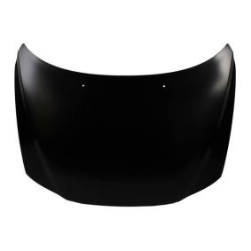 Motorhaube 6803-00-9021280P