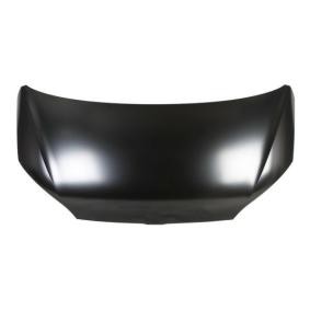 Motorhaube 6803-00-9516281P