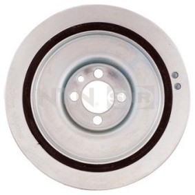 Riemenscheibe, Kurbelwelle DPF358.29 von SNR günstig für 44,39 € online kaufen