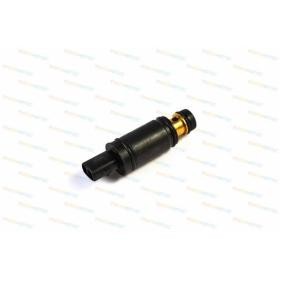 Regelventil, Kompressor von THERMOTEC