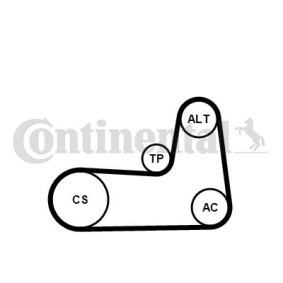 Achetez des Jeu de courroies trapézoïdales à nervures CONTITECH 5PK1125K1 à prix pour 83,24 €