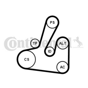 Achetez des Jeu de courroies trapézoïdales à nervures CONTITECH 6PK1705K2 à prix pour 92,99 €