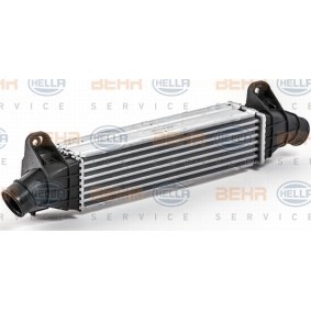 Ladeluftkühler 8ML 376 700-731 für FORD