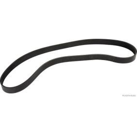 Compre Correia trapezoidal estriada da HERTH+BUSS JAKOPARTS J1081310 a um preço baixo por 13,20 €