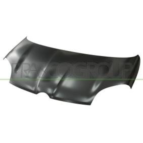 Motorhaube FT1243100
