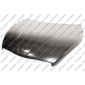 Motorhaube PG5303100