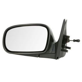 Acquista Specchietto retrovisore esterno da BLIC 5402-04-1112192P a buon mercato per soli 44,81 €