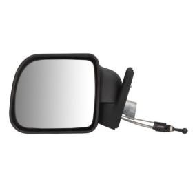 Compre Espelho retrovisor de BLIC online para EXPRESS Pick-up a preços moderados
