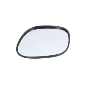 Spiegelglas, Außenspiegel 6102-02-1291958P