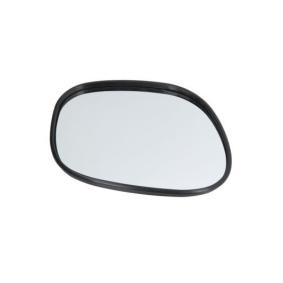 Spiegelglas, Außenspiegel 6102-02-1292958P