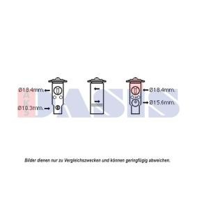 Expansionsventil, Klimaanlage 840223N