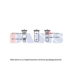 Expansionsventil, Klimaanlage 840253N