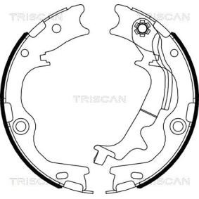 Acquista Ganasce freno a mano da TRISCAN 8100 43029 a buon mercato per soli 59,53 €