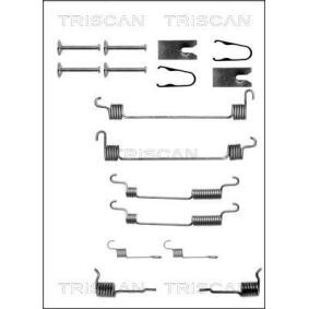 Zubehörsatz, Bremsbacken für ROVER von TRISCAN