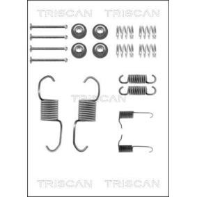 Acquista Kit accessori, ganasce freno da TRISCAN online per L 300 III Camion pianale / Telaio (P1_T ) a prezzi moderati