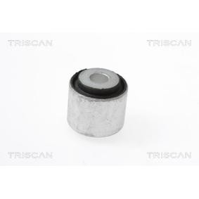 Lagerung, Lenker von TRISCAN