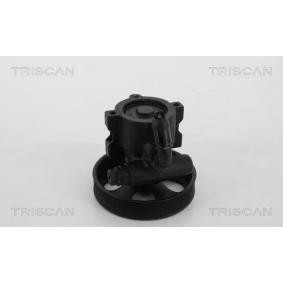 Servopumpe von TRISCAN