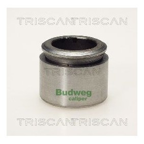 Compre Interruptor de temperatura, ventilador do radiador da TRISCAN 8625 126092 a um preço baixo por 10,35 €
