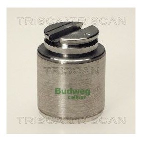 Temperaturschalter, Kühlerlüfter 8625 148087 von TRISCAN günstig für 24,78 € online kaufen