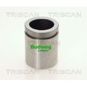 Temperaturschalter, Kühlerlüfter 8625 177110 von TRISCAN günstig für 21,01 € online kaufen