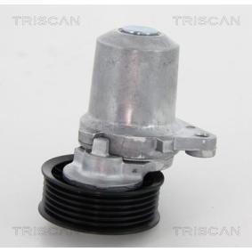Comprar Polea tensora, correa poli V de TRISCAN 8641 503003 a bajo precio de 164,90 €
