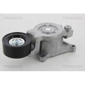 Comprar Polea tensora, correa poli V de TRISCAN 8641 503007 a bajo precio de 204,96 €
