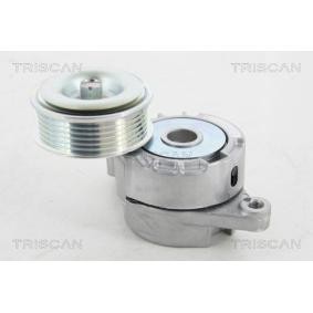Comprar Polea tensora, correa poli V de TRISCAN 8641 503008 a bajo precio de 227,32 €