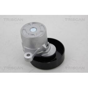 Spannrolle, Keilrippenriemen 8641 693002