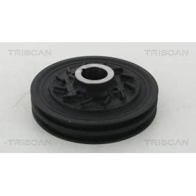 Acquista Puleggia albero motore da TRISCAN online per L 300 / Delica II Camion pianale / Telaio (L03_P) a prezzi moderati