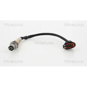 Lambdasonde von TRISCAN