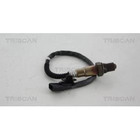 Lambdasonde von TRISCAN