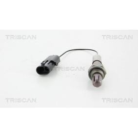 Lambdasonde von TRISCAN